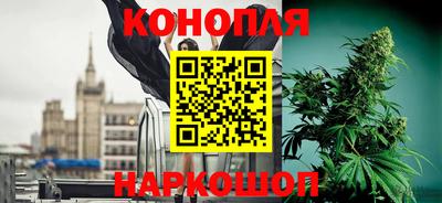 гидра Кингисепп