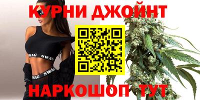 гидра Кингисепп