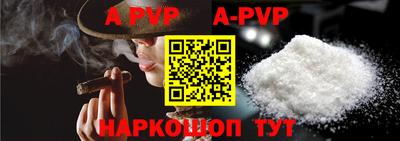 гидра Кингисепп