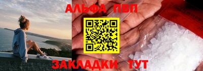 гидра Кингисепп