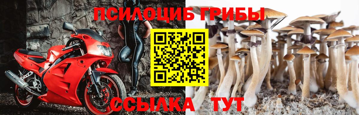 Краснодар  Галлюциногенные грибы GOLDEN TEACHER  сколько стоит  Вход с VPN 
